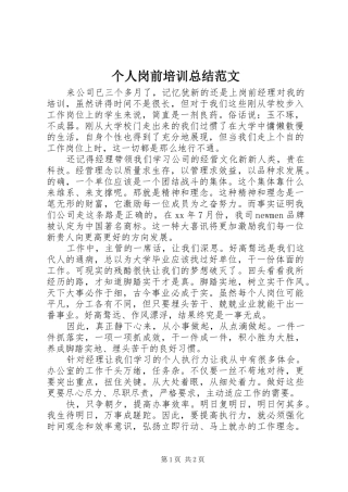 2024年个人岗前培训总结范文