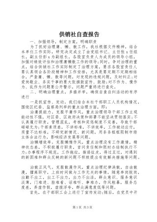 2024年供销社自查报告
