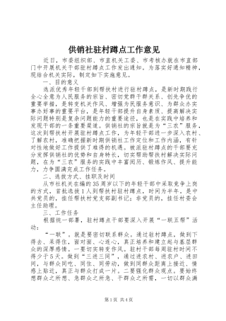 2024年供销社驻村蹲点工作意见
