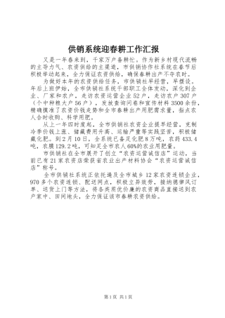 2024年供销系统迎春耕工作汇报