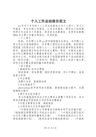 2024年个人工作总结报告范文