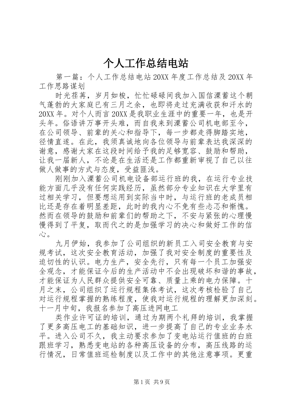 2024年个人工作总结电站_第1页