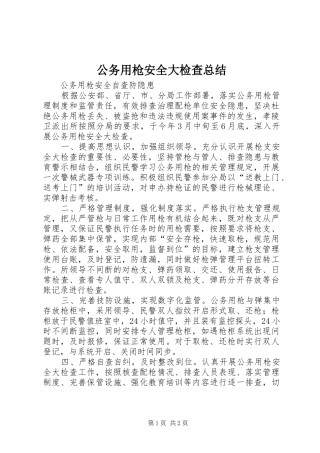 2024年公务用枪安全大检查总结