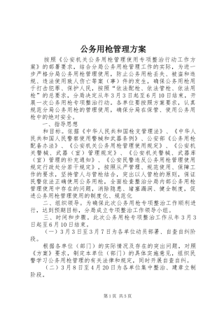 2024年公务用枪管理方案