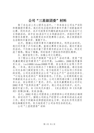 2024年公司三星级团委材料