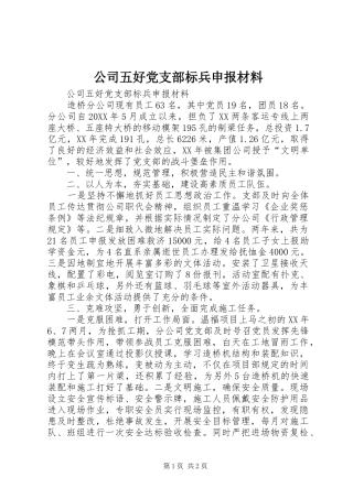 2024年公司五好党支部标兵申报材料