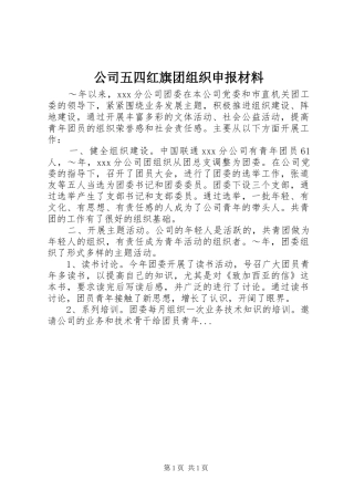 2024年公司五四红旗团组织申报材料