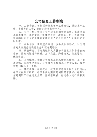 2024年公司信息工作制度