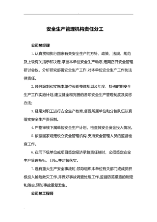 2024年安全生产管理机构责任分工