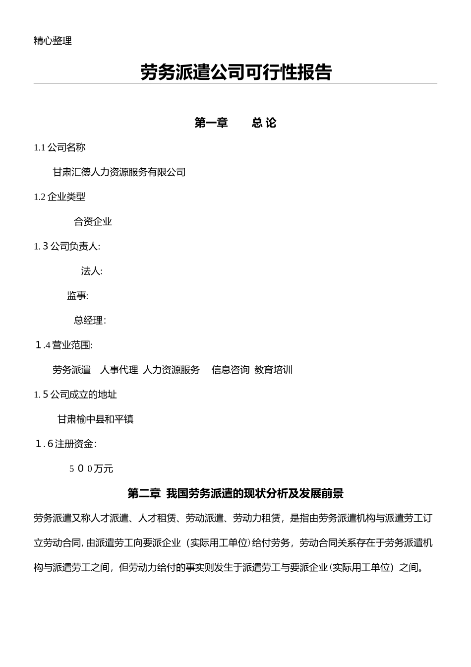 2024年成立劳务派遣公司可行性分析报告_第1页