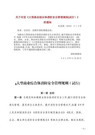 2024年大型商业综合体消防安全管理规则