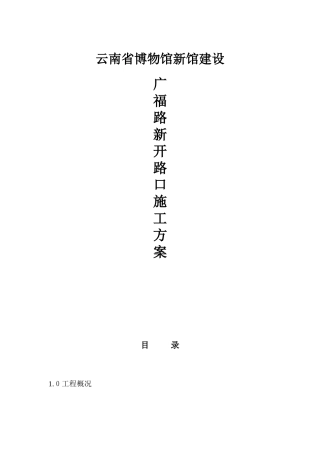 2024年道路开口施工方案