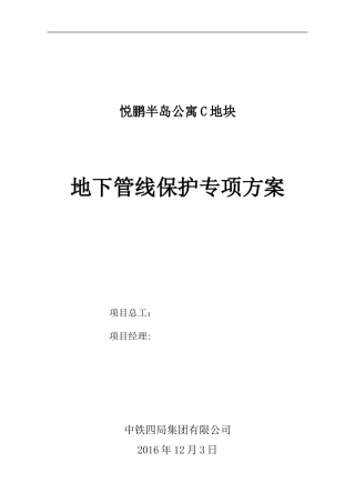 2024年地下管线保护专项综合方案