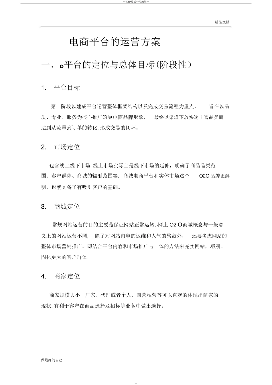 2024年电商平台运营方案_第1页