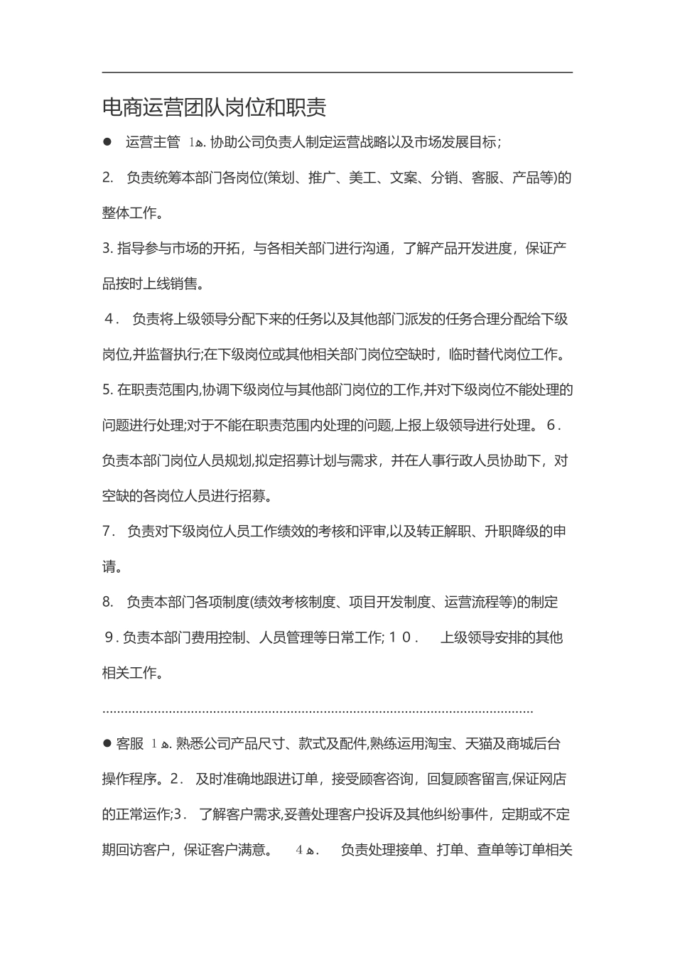 2024年电商运营团队岗位和职责_第1页