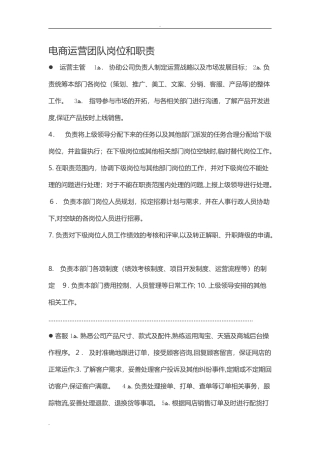 2024年电商运营团队岗位和职责2