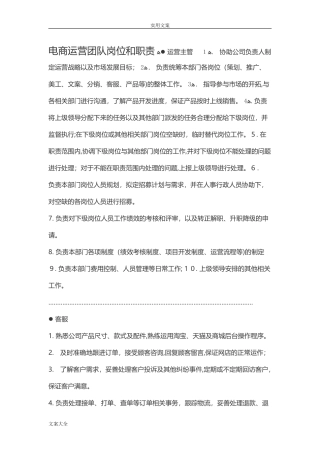 2024年电商运营团队岗位和职责完整版