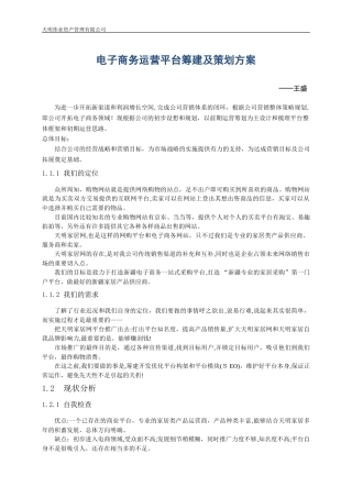 2024年电子商务运营平台筹建及策划方案资料