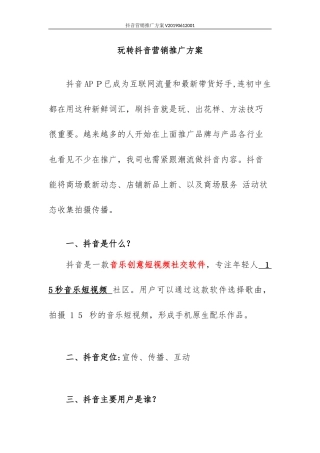 2024年抖音营销推广方案