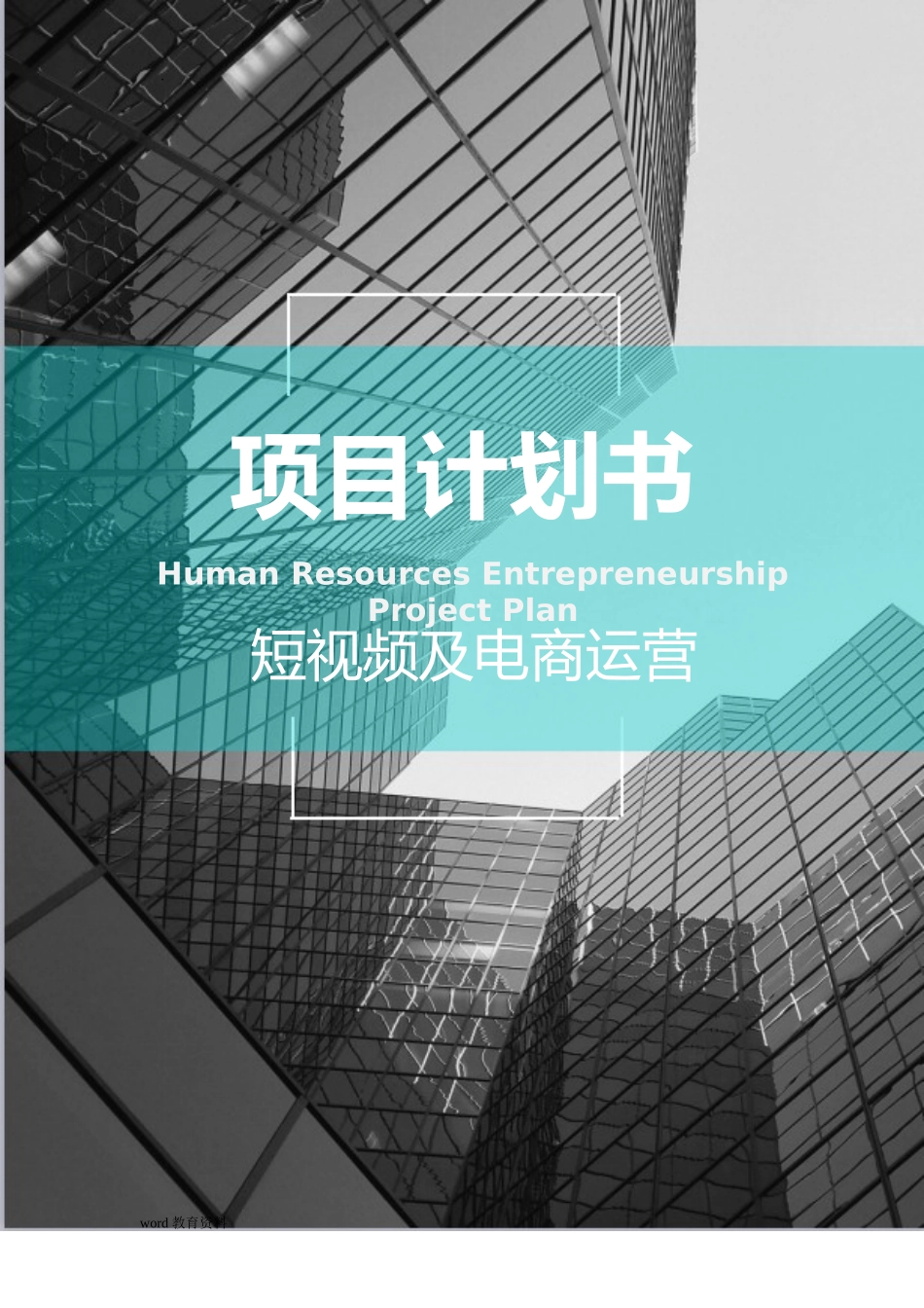 2024年短视频及电商运营项目融资商业计划书_第1页