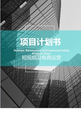 2024年短视频及电商运营项目融资商业计划书