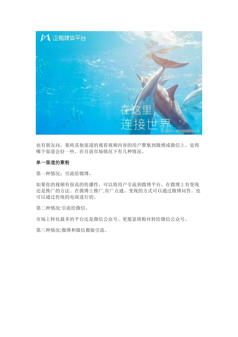 2024年短视频运营5种吸粉大法,让你的粉丝更值钱_第3页