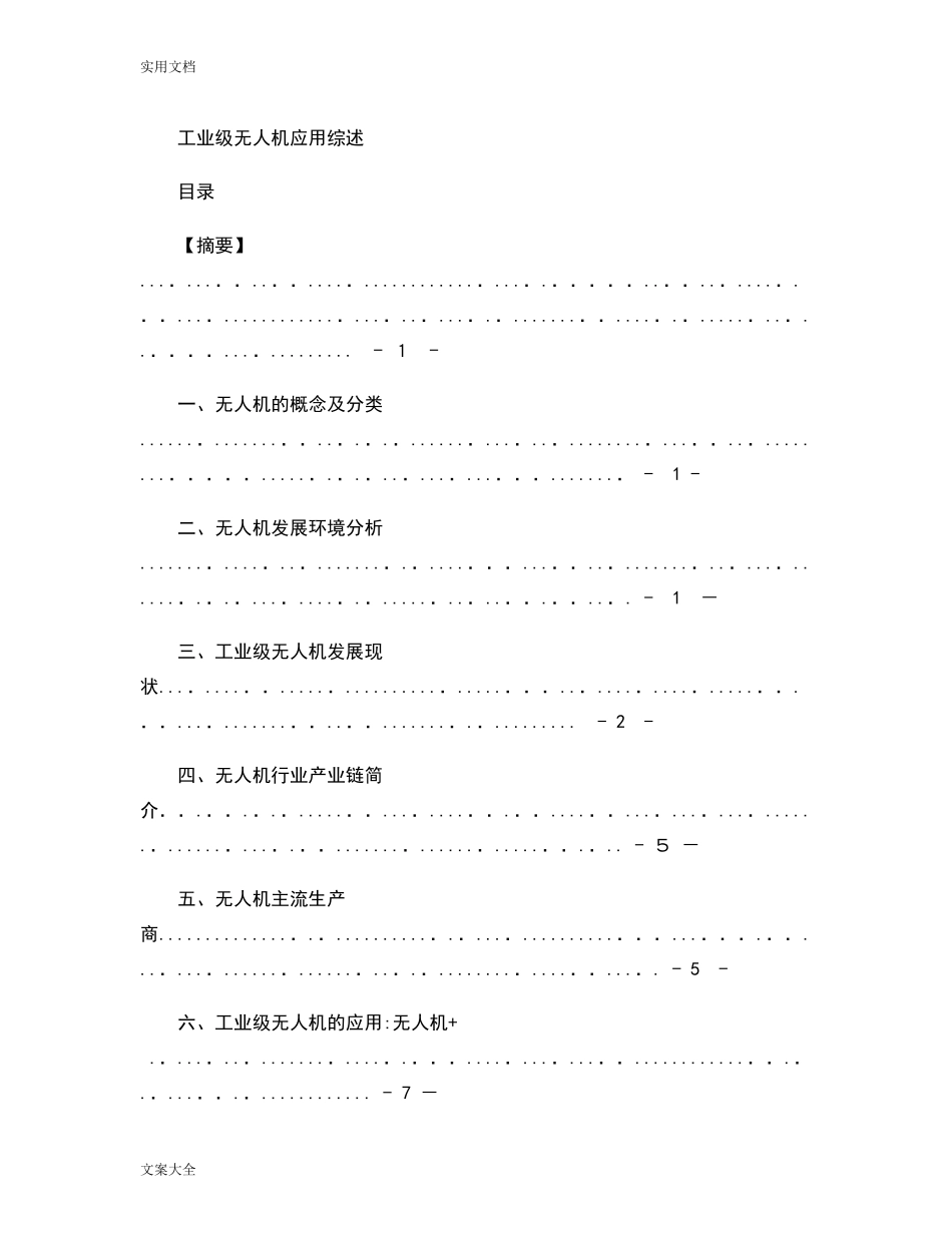 2024年工业级无人机应用综述完整版_第1页