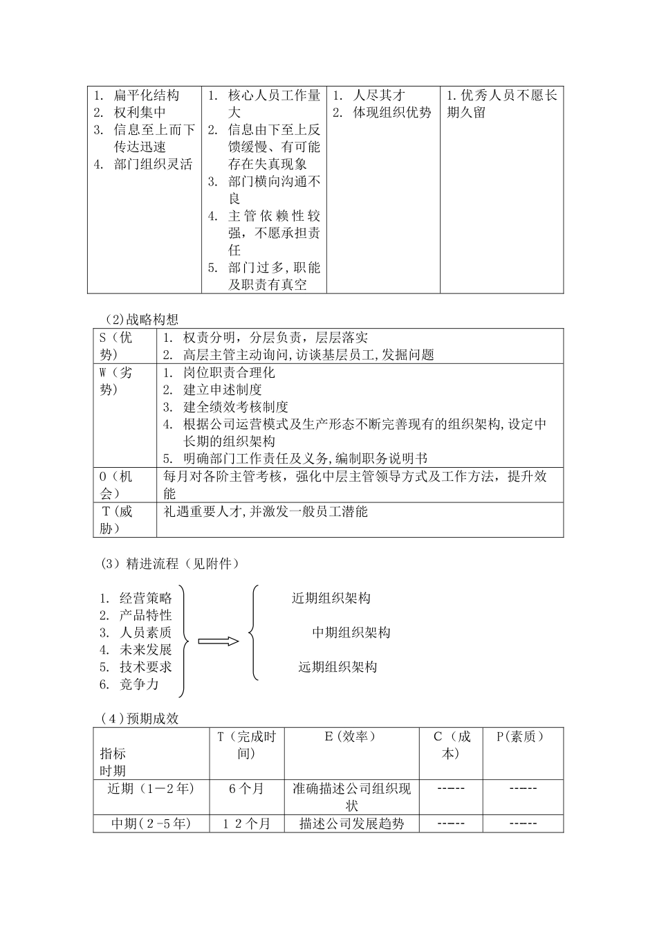2024年公司人力资源战略规划_第2页
