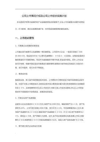 2024年公司上市初步实施计划