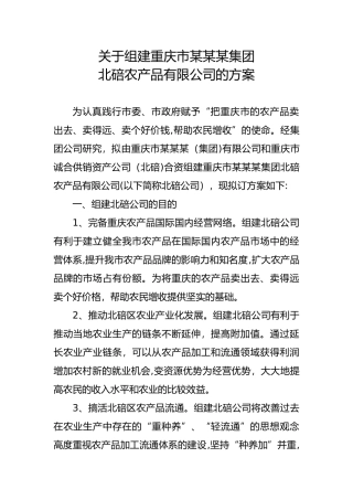 2024年公司组建方案范文