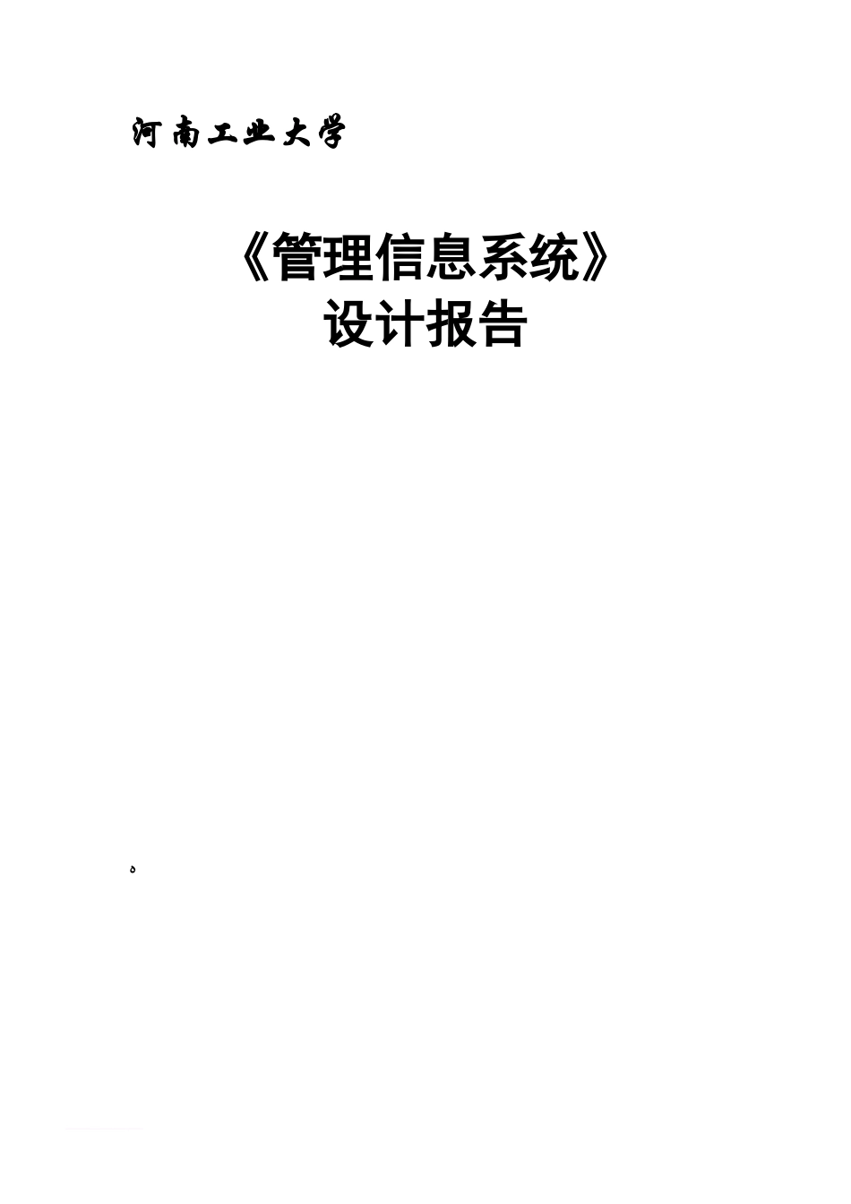 2024年管理信息系统设计报告_第1页