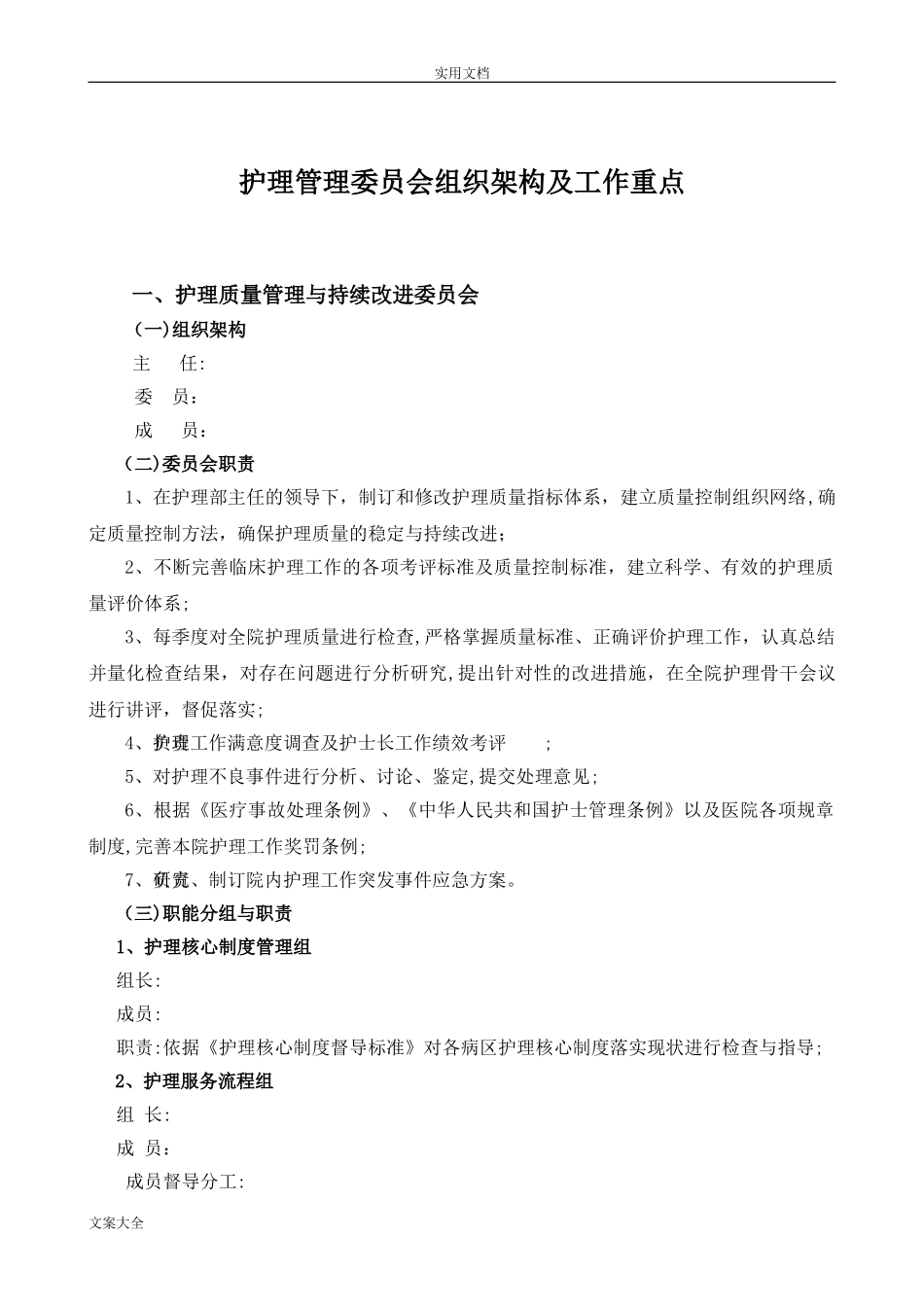 2024年护理管理系统组织架构_第2页