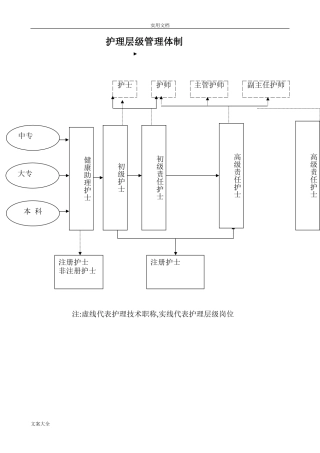2024年护理管理系统组织架构