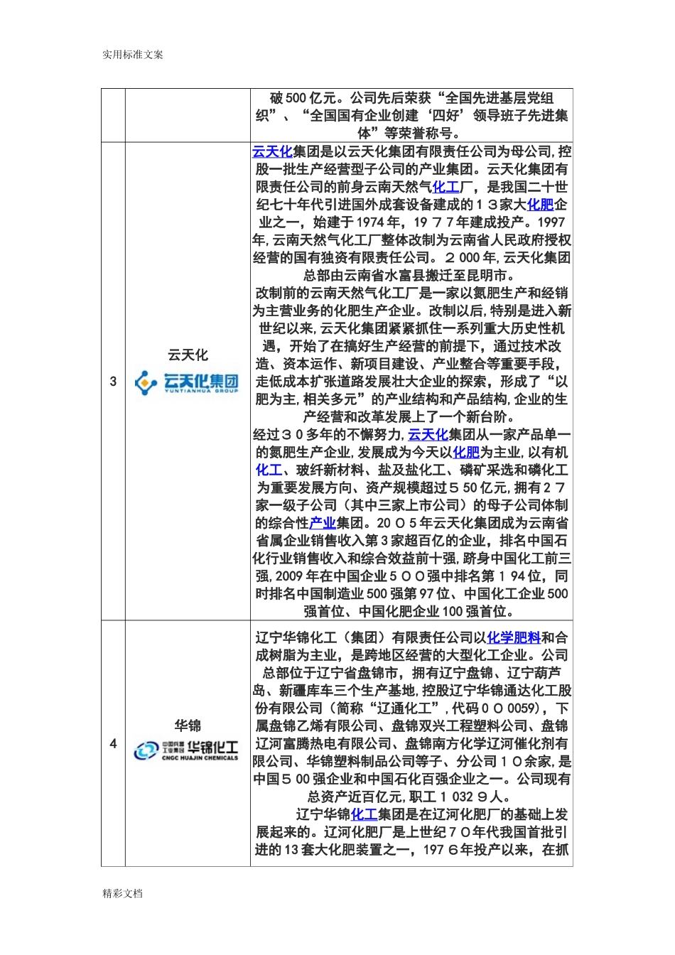 2024年化肥企业的排名_第2页