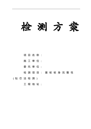 2024年基桩钻芯检测方案