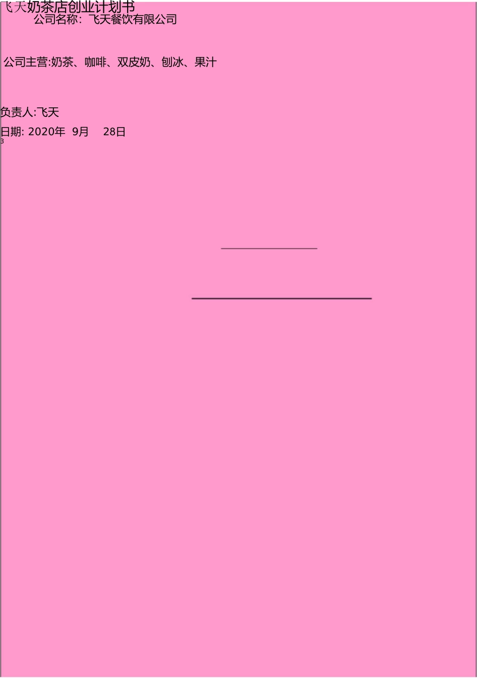 2024年计算机应用基础Word制作创业计划书_第3页