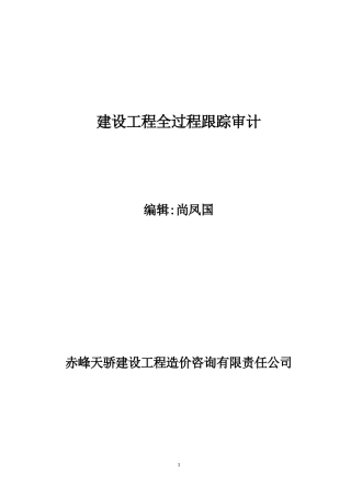2024年建设项目全过程跟踪审计资料