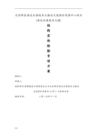 2024年结构实体检验专项及方案