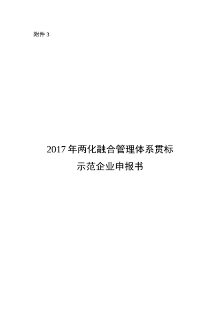2024年两化融合管理体系贯标示范企业申报书