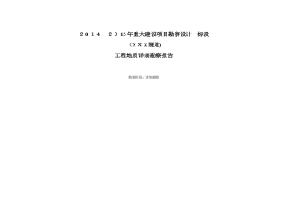 2024年路隧道勘察报告
