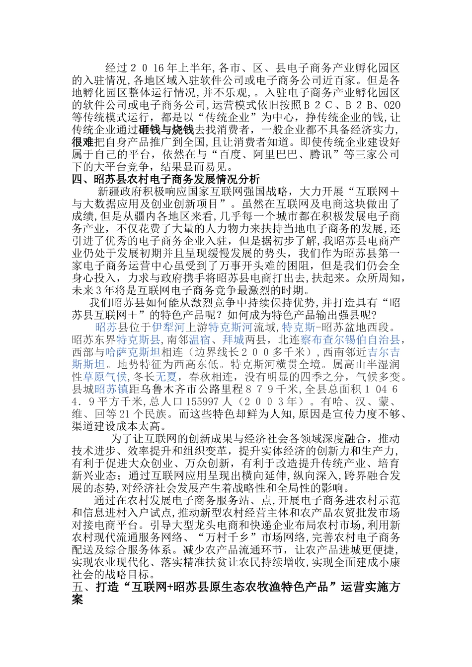 2024年农村电商服务站策划方案_第2页