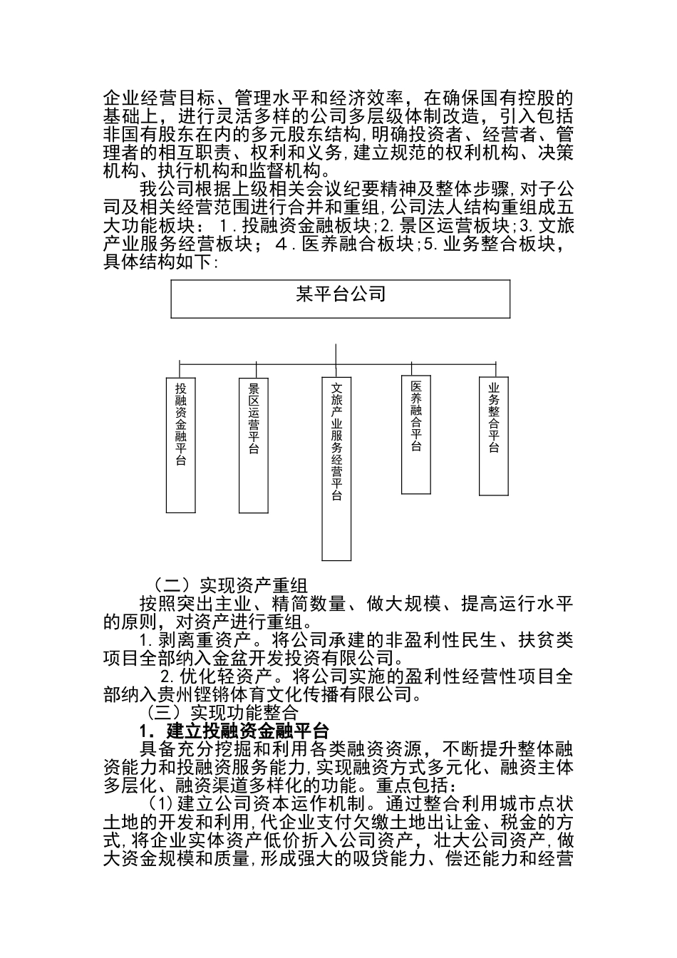 2024年平台公司整体转型发展规划方案_第3页