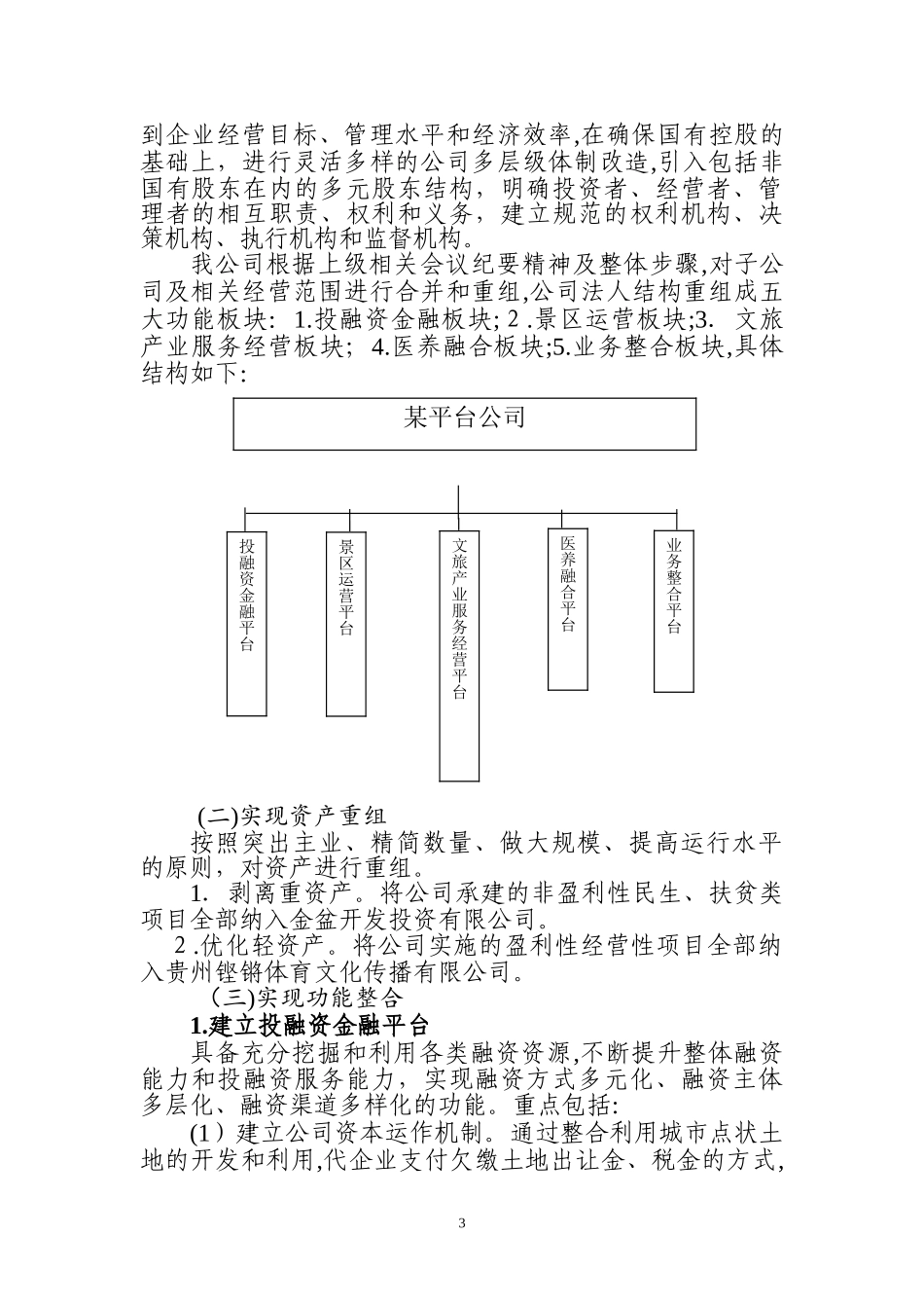 2024年平台公司整体转型发展规划综合方案_第3页