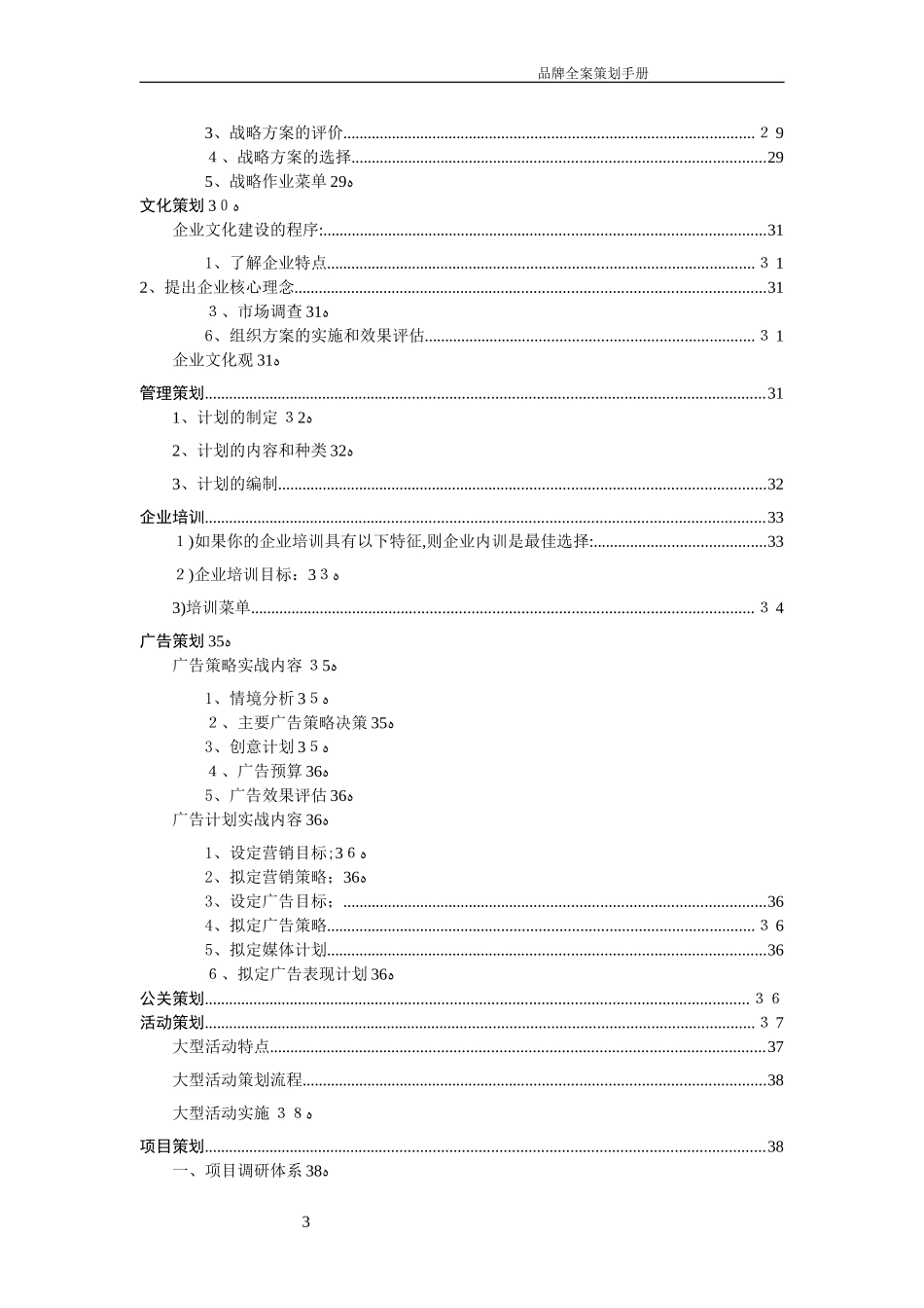 2024年企业品牌全案策划及实施内容_第3页