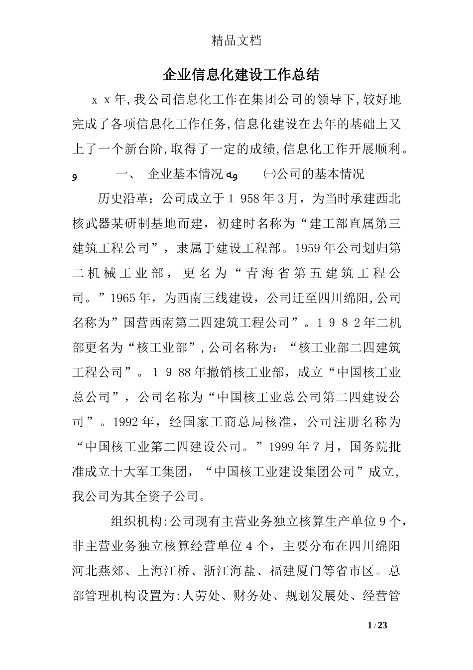 2024年企业信息化建设工作总结_第1页