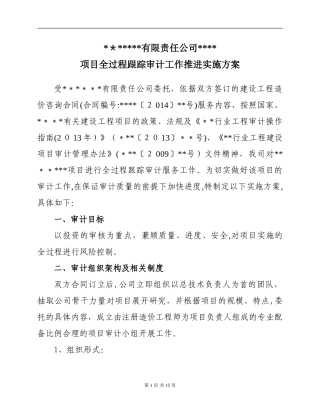 2024年全过程跟踪审计工作方案解读
