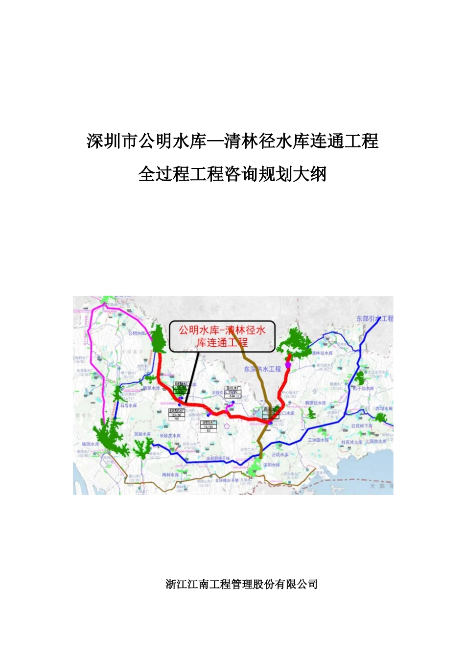 2024年全过程咨询规划与实例_第1页