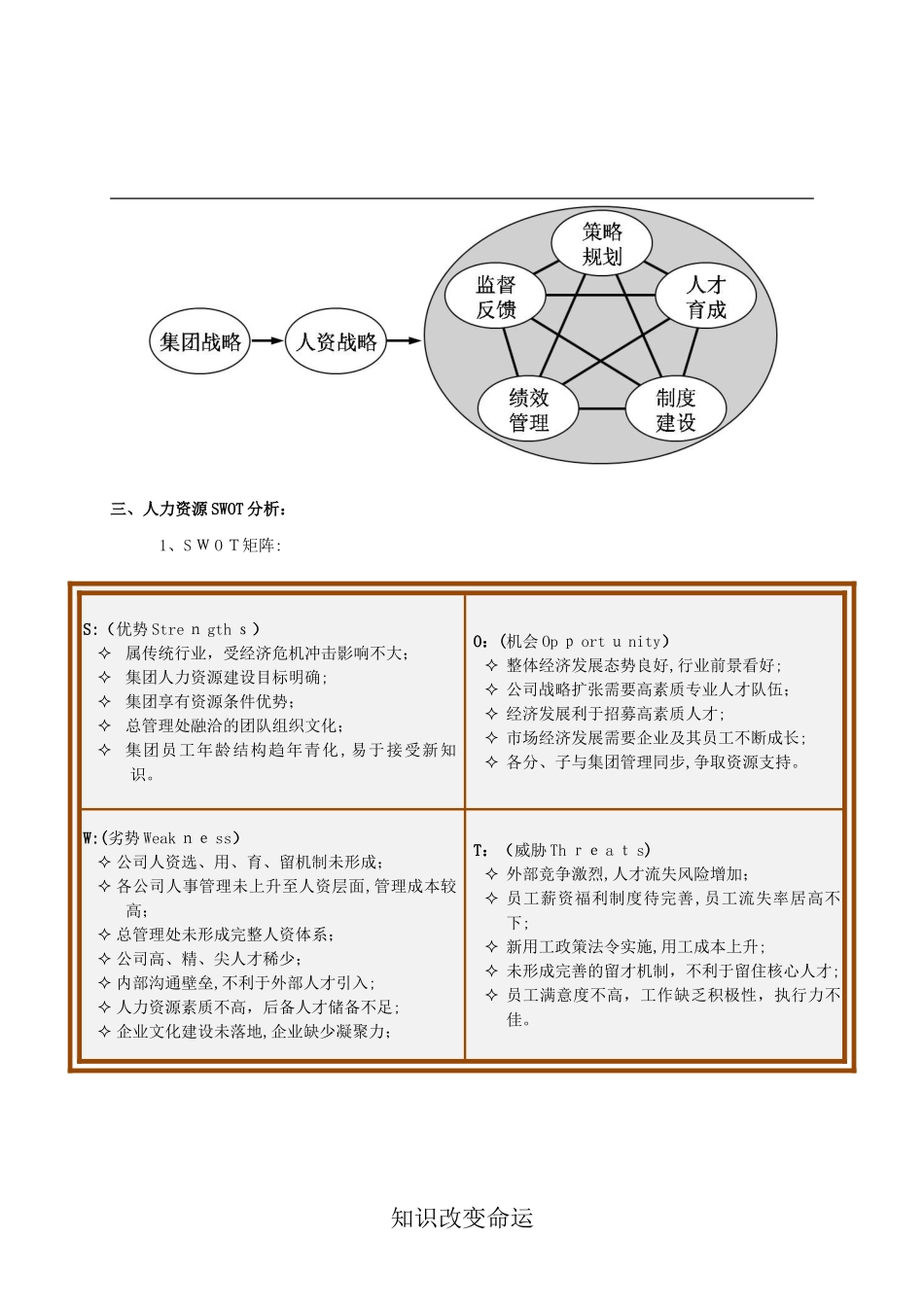 2024年人力资源战略规划书_第2页