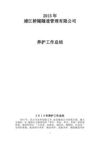 2024年隧道公司养护工作总结