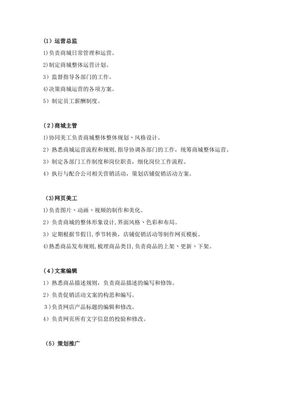 2024年天猫运营计划书_第3页